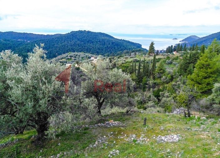 Image No.13-Property for sale