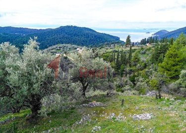 img51862e39-4435-4794-a068-e97b8b4a00de