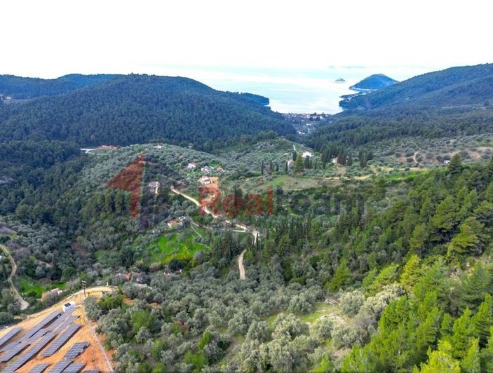 Image No.14-Property for sale