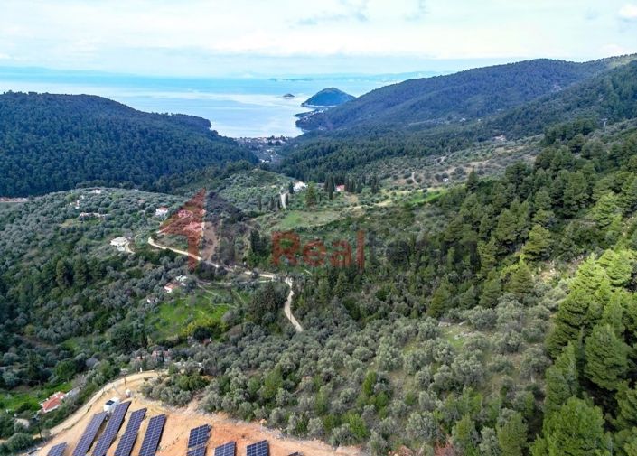 Image No.4-Property for sale