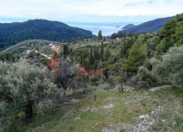 img31d25b4f-62a2-4354-bd77-2d475df94031