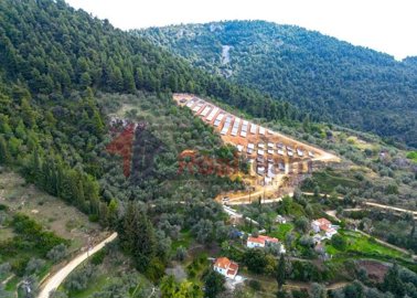 img740076ce-7b19-46d9-a4b1-879fb6ad3e08