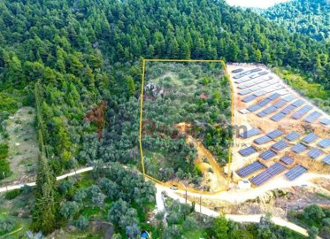 img54369ad9-f79f-4d1f-ad15-e591b3686aab