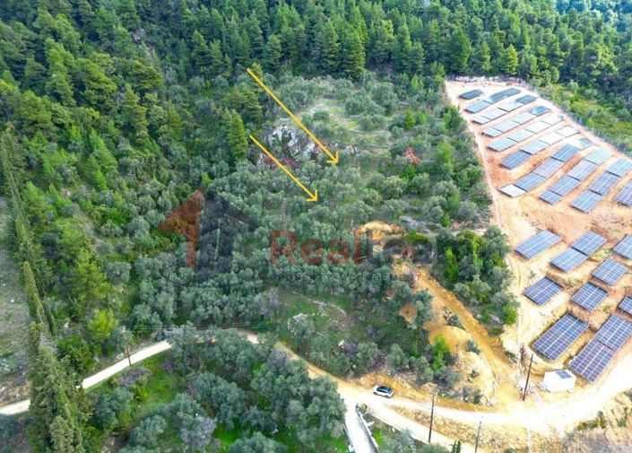 Image No.9-Property for sale