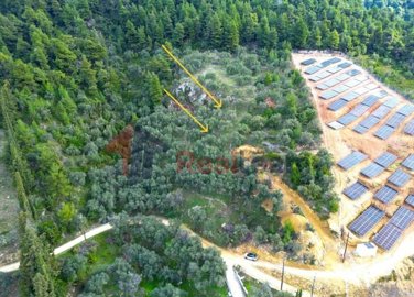 imga8978dee-e2fa-44af-b9b3-57e6b1e99d63