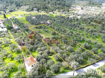 img202109ac-b5e9-47fc-bf8d-22b2b7c529de