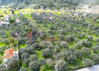 img0c82122f-f1e0-4ab4-a1ad-d46e9e648c53