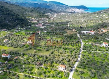 img1f40e4ad-c49f-4e77-9df0-86a4e0754a24