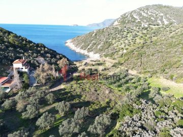 img29c4c6f2-51b6-4b73-978b-ae4e3a768b56