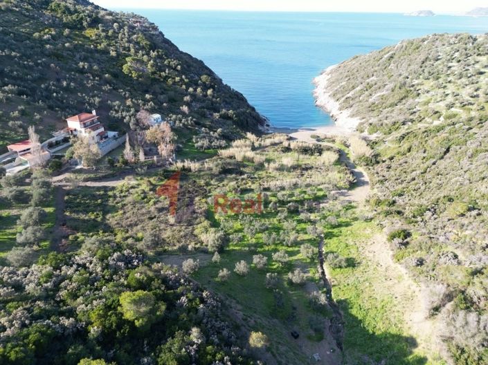 Image No.11-Property for sale