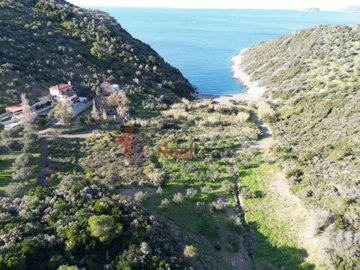 img2c82a25c-45e2-4bf3-8628-76932c7cd0f3