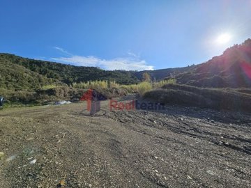 img250392e6-57a5-4f64-9c1d-d9ddcb1d4a04