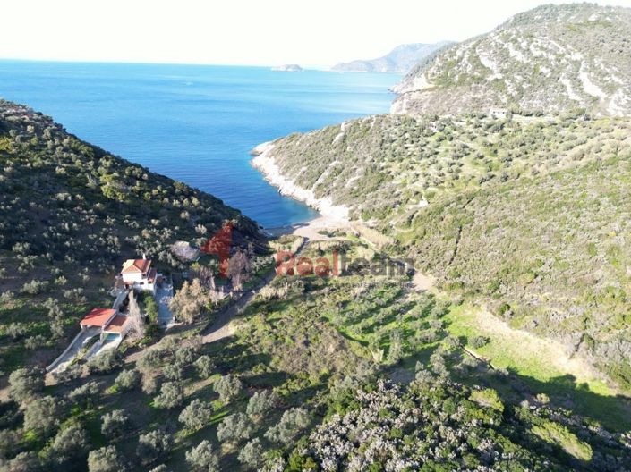 Image No.2-Property for sale