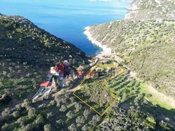 img2cd6ea1b-aaa4-46b3-b217-542c25e6d833