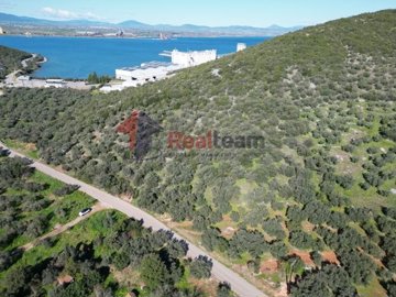 img36dd30c7-875d-4a3b-8e70-0edc56aff8c5