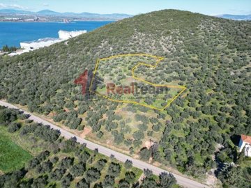 imgb2bcf3e8-c772-4a89-b9bc-b21ac3b7524e