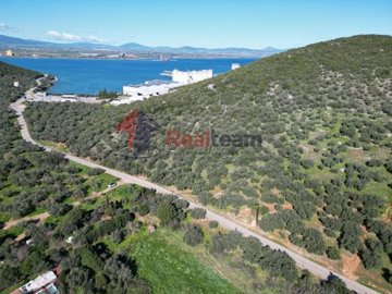 img9fc13477-3cc2-4203-9441-2b6bca2626cc