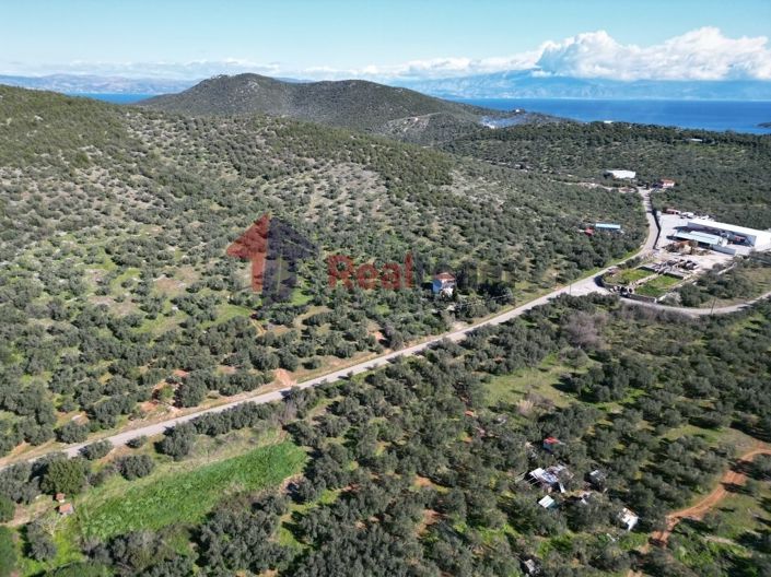 Image No.17-Property for sale