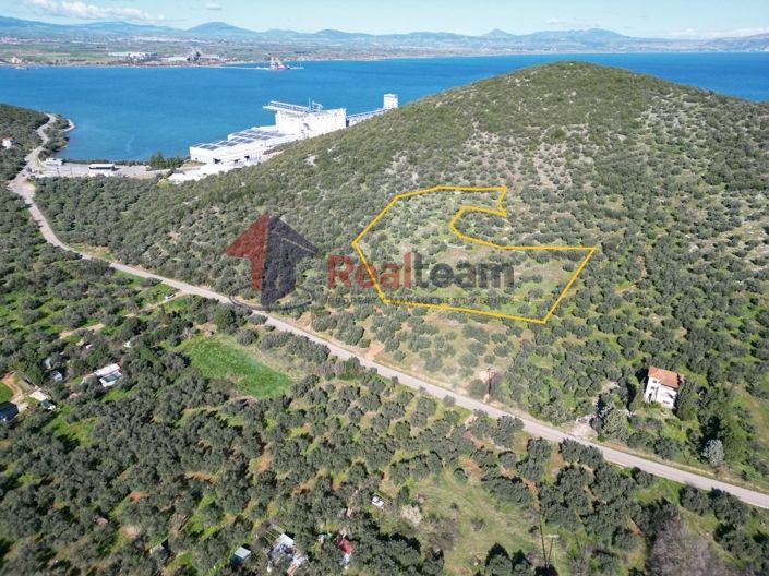 Image No.2-Property for sale