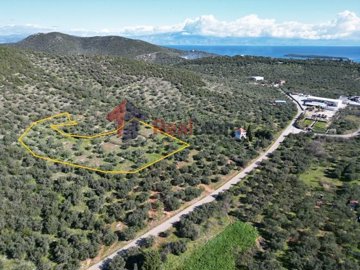 img27a467f0-6d6d-4a0b-abe3-ff8a58aeda4d