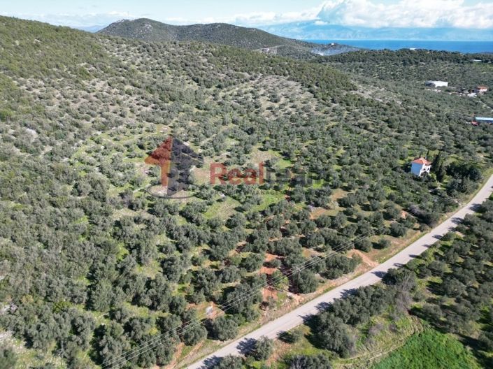 Image No.4-Property for sale