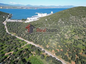 img2cdb79e0-2b20-432d-be94-45010fa9ebfe