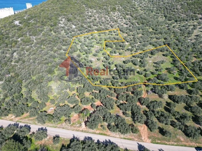 Image No.6-Property for sale