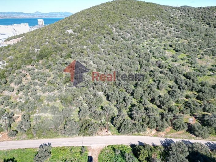 Image No.7-Property for sale