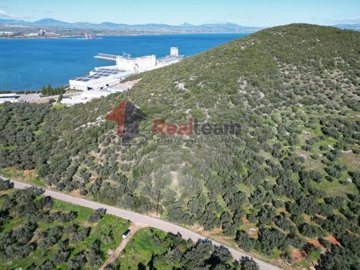 img97e960ca-2875-4b06-ad1d-50ebd086fc57