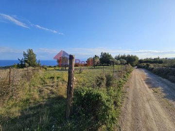 imge7b53ea9-1731-49e0-a7fc-95585fd20ab6