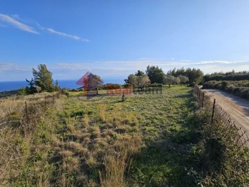 img0cda852e-a92c-4d7e-a464-f1f4ce1ec33c