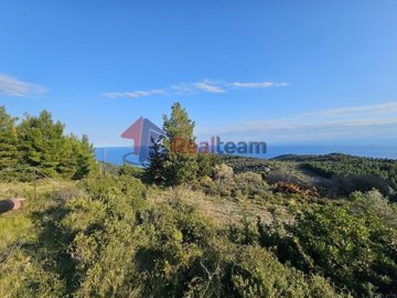 img46247400-e1a8-4bf7-9e5b-c952cb753280