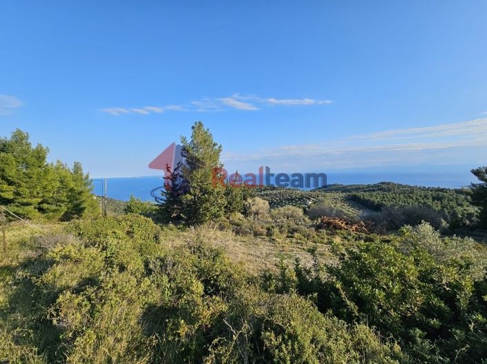 Image No.13-Property for sale