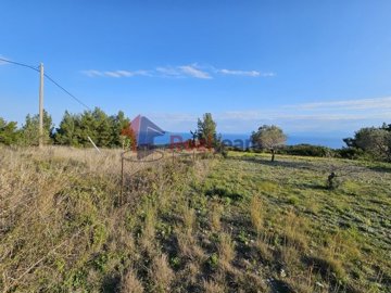 img75ccdb1d-3d50-4cc3-9c59-7cced9f769c6