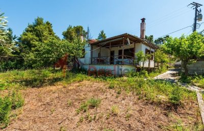 img3ccbf19f-401b-4f7f-99e5-951f2ead4799