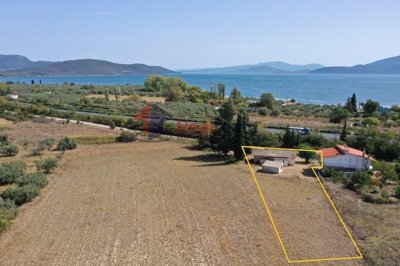 img527c6bd6-c919-4fc7-b1ba-dd19e537c476