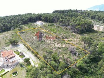 imgd316fd9a-df6f-44a1-a113-db5051cef5e1