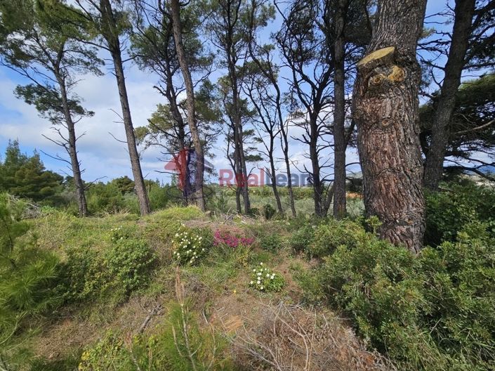 Image No.4-Property for sale