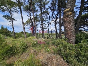 img7d617e7b-3626-48e3-ac72-705eb49dd56d