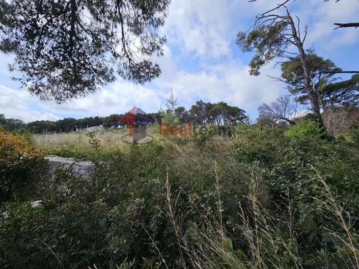 Image No.5-Property for sale