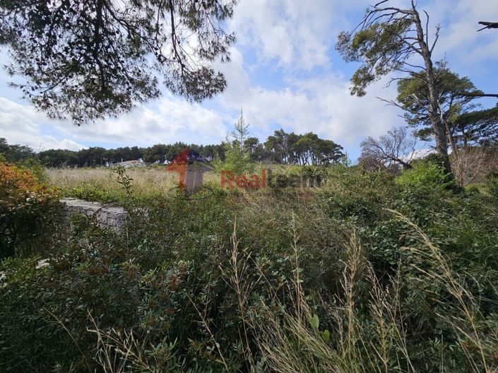 Image No.6-Property for sale