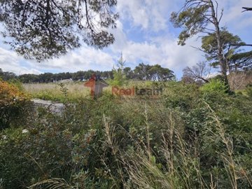 img45037d2c-8589-4401-a7ee-76464038242b