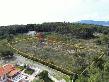 imgce2b26c9-5659-42c2-9e18-f69a16c308ac