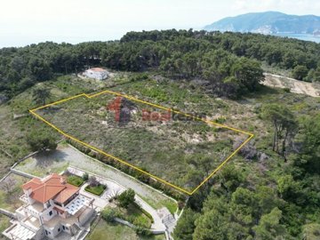 img4121f092-5b46-43e5-8125-18e311ea89ed