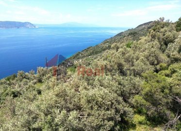 img11a328b8-008e-4230-9dc0-a2852840253b