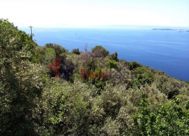 img863f12de-4fe2-4155-a148-447edb640e8d