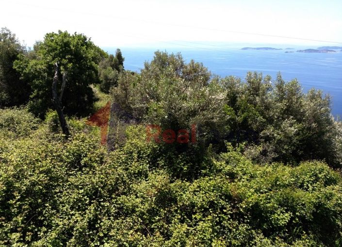 Image No.15-Property for sale