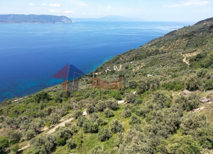 Image No.19-Property for sale