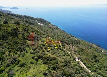 img1371c572-9075-4b50-90f1-a6de5826401c