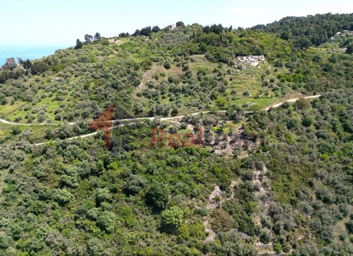 Image No.20-Property for sale